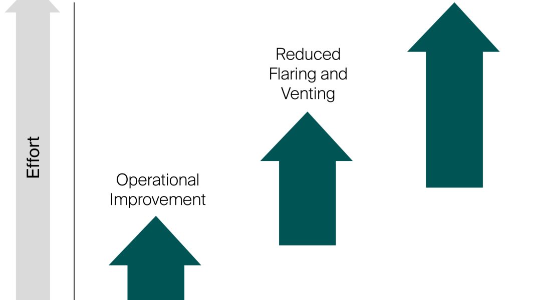 Netzero graphic