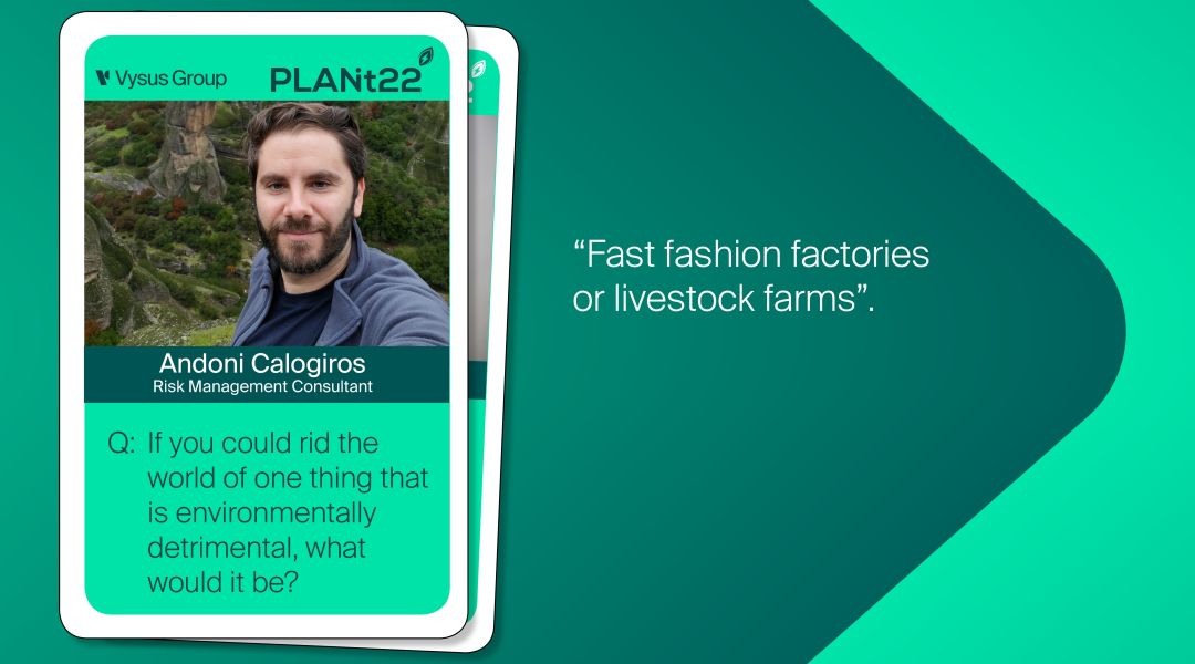 Twitter cards Andoni